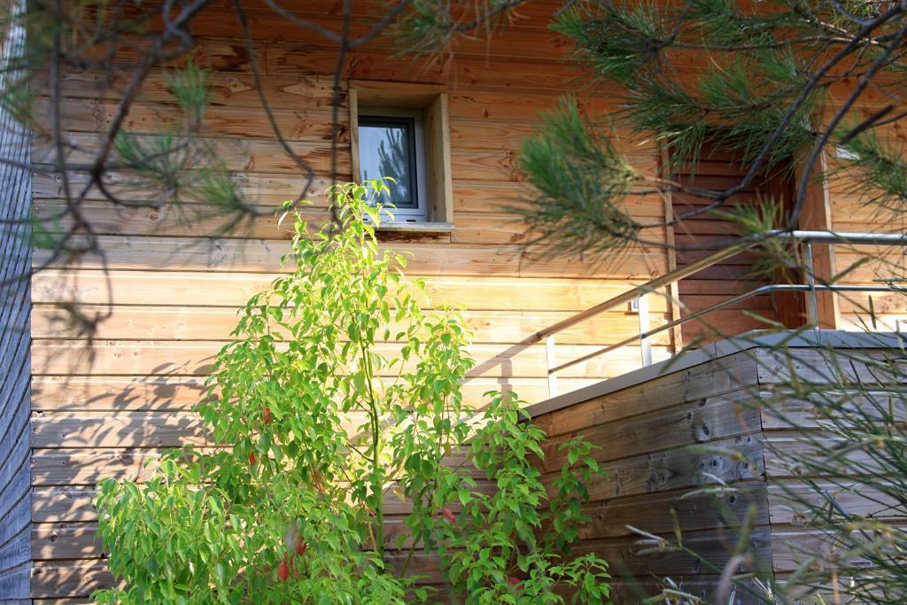 Residence Cala Sultana Порто-Веккіо Екстер'єр фото